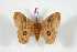  ( - BC-Her4180)  @11 [ ] Copyright (2010) Unspecified Research Collection of Daniel Herbin