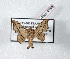  ( - Bc-Her4798)  @13 [ ] Unspecified (default): All Rights Reserved  Unspecified Unspecified