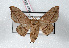  ( - Bc-Her4810)  @14 [ ] Unspecified (default): All Rights Reserved  Unspecified Unspecified