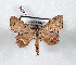  ( - Bc-Her4894)  @13 [ ] Unspecified (default): All Rights Reserved  Unspecified Unspecified