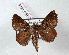  ( - Bc-Her4944)  @14 [ ] Unspecified (default): All Rights Reserved  Unspecified Unspecified
