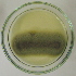  (Cladosporium pseudocladosporioides - LESF 825)  @11 [ ] CreativeCommons - Attribution Non-Commercial Share-Alike (2014) Andre Rodrigues UNESP-São Paulo State University