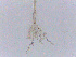  ( - LESF 827)  @11 [ ] CreativeCommons - Attribution Non-Commercial Share-Alike (2014) Andre Rodrigues UNESP-São Paulo State University