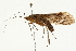  ( - 09MICAD-0001)  @13 [ ] CreativeCommons - Attribution (2010) Unspecified Centre for Biodiversity Genomics