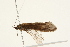  ( - 09MICAD-0007)  @13 [ ] CreativeCommons - Attribution (2010) Unspecified Centre for Biodiversity Genomics