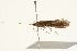  ( - 09MICAD-0008)  @13 [ ] CreativeCommons - Attribution (2010) Unspecified Centre for Biodiversity Genomics