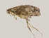  ( - CCDB-02223-D03)  @11 [ ] Copyright (2009) Unspecified The Reasearch Collection of George W. Gibbs
