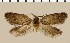  ( - CCDB-02227-B12)  @13 [ ] Copyright (2010) Unspecified The Reasearch Collection of George W. Gibbs