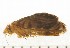  ( - CCDB-08380-E07)  @11 [ ] Copyright (2010) Unspecified The Reasearch Collection of George W. Gibbs