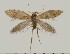  (Sabatinca demissa - GWB-9809)  @14 [ ] Unspecified (default): All Rights Reserved  Unspecified Unspecified