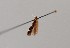  ( - CCDB-23375 D09)  @11 [ ] Copyright (2018) Zoological Institute of the Russian Academy of Science Zoological Institute of the Russian Academy of Science