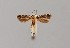  ( - CCDB-23375 E05)  @11 [ ] Copyright (2018) Zoological Institute of the Russian Academy of Science Zoological Institute of the Russian Academy of Science