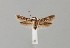  ( - CCDB-23375 F10)  @13 [ ] Copyright (2018) Zoological Institute of the Russian Academy of Science Zoological Institute of the Russian Academy of Science