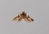  ( - CCDB-23375 G01)  @12 [ ] Copyright (2018) Zoological Institute of the Russian Academy of Science Zoological Institute of the Russian Academy of Science