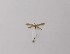  ( - CCDB-23847 B02)  @11 [ ] Copyright (2018) Zoological Institute of the Russian Academy of Science Zoological Institute of the Russian Academy of Science