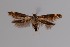  ( - CCDB-17970 A02)  @13 [ ] Copyright (2016) Zoological Institute of the Russian Academy of Science Zoological Institute of the Russian Academy of Science