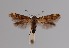  ( - CCDB-17970 A03)  @13 [ ] Copyright (2016) Zoological Institute of the Russian Academy of Science Zoological Institute of the Russian Academy of Science