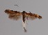  ( - CCDB-17970 A06)  @13 [ ] Copyright (2016) Zoological Institute of the Russian Academy of Science Zoological Institute of the Russian Academy of Science