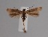  ( - CCDB-17970 B01)  @11 [ ] Copyright (2016) Zoological Institute of the Russian Academy of Science Zoological Institute of the Russian Academy of Science