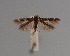  ( - CCDB-17970 C01)  @11 [ ] Copyright (2016) Zoological Institute of the Russian Academy of Science Zoological Institute of the Russian Academy of Science