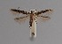  ( - CCDB-17970 E12)  @14 [ ] Copyright (2016) Zoological Institute of the Russian Academy of Science Zoological Institute of the Russian Academy of Science