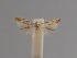  ( - CCDB-17970 F05)  @11 [ ] Copyright (2016) Zoological Institute of the Russian Academy of Science Zoological Institute of the Russian Academy of Science
