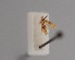  (Bucculatrix comporabile - CCDB-17970 G07)  @11 [ ] Copyright (2016) Zoological Institute of the Russian Academy of Science Zoological Institute of the Russian Academy of Science