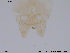  ( - ES113)  @12 [ ] CreativeCommons - Attribution Non-Commercial Share-Alike (2013) NTNU Museum of Natural History and Archaeology NTNU Museum of Natural History and Archaeology