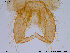  ( - ES178)  @13 [ ] CreativeCommons - Attribution Non-Commercial Share-Alike (2013) NTNU Museum of Natural History and Archaeology NTNU Museum of Natural History and Archaeology