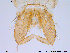  ( - ES179)  @13 [ ] CreativeCommons - Attribution Non-Commercial Share-Alike (2013) NTNU Museum of Natural History and Archaeology NTNU Museum of Natural History and Archaeology