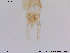  ( - ES19)  @12 [ ] CreativeCommons - Attribution Non-Commercial Share-Alike (2013) NTNU Museum of Natural History and Archaeology NTNU Museum of Natural History and Archaeology