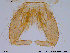  ( - ES205)  @13 [ ] CreativeCommons - Attribution Non-Commercial Share-Alike (2013) NTNU Museum of Natural History and Archaeology NTNU Museum of Natural History and Archaeology