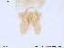  ( - ES22)  @12 [ ] CreativeCommons - Attribution Non-Commercial Share-Alike (2013) NTNU Museum of Natural History and Archaeology NTNU Museum of Natural History and Archaeology