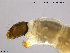  ( - ES337)  @13 [ ] CreativeCommons - Attribution Non-Commercial Share-Alike (2012) NTNU Museum of Natural History and Archaeology NTNU Museum of Natural History and Archaeology