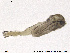  ( - ES344)  @13 [ ] CreativeCommons - Attribution Non-Commercial Share-Alike (2013) NTNU Museum of Natural History and Archaeology NTNU Museum of Natural History and Archaeology