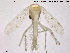  ( - ES360)  @13 [ ] CreativeCommons - Attribution Non-Commercial Share-Alike (2014) NTNU University Museum, Department of Natural History NTNU University Museum, Department of Natural History