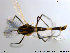  ( - ES402)  @13 [ ] CreativeCommons - Attribution Non-Commercial Share-Alike (2014) NTNU University Museum, Department of Natural History NTNU University Museum, Department of Natural History
