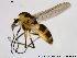  ( - ES410)  @13 [ ] CreativeCommons - Attribution Non-Commercial Share-Alike (2014) NTNU University Museum, Department of Natural History NTNU University Museum, Department of Natural History