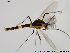  ( - ES411)  @13 [ ] CreativeCommons - Attribution Non-Commercial Share-Alike (2014) NTNU University Museum, Department of Natural History NTNU University Museum, Department of Natural History