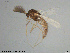  ( - ES468)  @11 [ ] Creative Commons  Attribution Non-Commercial Share-Alike (2021) NTNU University Museum, Department of Natural History NTNU University Museum, Department of Natural History