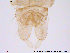  ( - MA12)  @13 [ ] CreativeCommons - Attribution Non-Commercial Share-Alike (2013) NTNU Museum of Natural History and Archaeology NTNU Museum of Natural History and Archaeology
