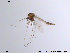  ( - NO 104)  @12 [ ] CreativeCommons - Attribution Non-Commercial Share-Alike (2013) NTNU Museum of Natural History and Archaeology NTNU Museum of Natural History and Archaeology
