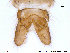  ( - NO58)  @12 [ ] CreativeCommons - Attribution Non-Commercial Share-Alike (2013) NTNU Museum of Natural History and Archaeology NTNU Museum of Natural History and Archaeology