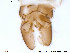  ( - NO59)  @12 [ ] CreativeCommons - Attribution Non-Commercial Share-Alike (2013) NTNU Museum of Natural History and Archaeology NTNU Museum of Natural History and Archaeology