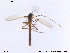  ( - NO 81)  @12 [ ] CreativeCommons - Attribution Non-Commercial Share-Alike (2013) NTNU Museum of Natural History and Archaeology NTNU Museum of Natural History and Archaeology