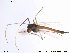  ( - NO 83)  @13 [ ] CreativeCommons - Attribution Non-Commercial Share-Alike (2013) NTNU Museum of Natural History and Archaeology NTNU Museum of Natural History and Archaeology