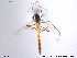  ( - NO 85)  @13 [ ] CreativeCommons - Attribution Non-Commercial Share-Alike (2013) NTNU Museum of Natural History and Archaeology NTNU Museum of Natural History and Archaeology