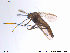  ( - NO 88)  @12 [ ] CreativeCommons - Attribution Non-Commercial Share-Alike (2013) NTNU Museum of Natural History and Archaeology NTNU Museum of Natural History and Archaeology