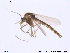  ( - NO 94)  @12 [ ] CreativeCommons - Attribution Non-Commercial Share-Alike (2013) NTNU Museum of Natural History and Archaeology NTNU Museum of Natural History and Archaeology
