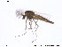  ( - NO 98)  @13 [ ] CreativeCommons - Attribution Non-Commercial Share-Alike (2013) NTNU Museum of Natural History and Archaeology NTNU Museum of Natural History and Archaeology